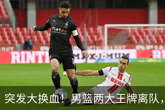 突发大换血！男篮两大王牌离队，高诗岩悬了，徐杰、张镇麟迎良机