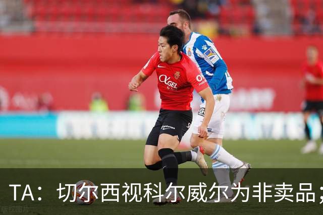 TA：切尔西视科尔威尔为非卖品；马马杜-萨尔内部评价很高